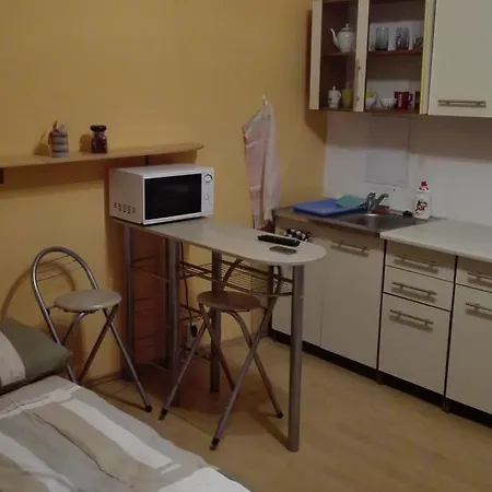 Apartment Studio Benadicka *